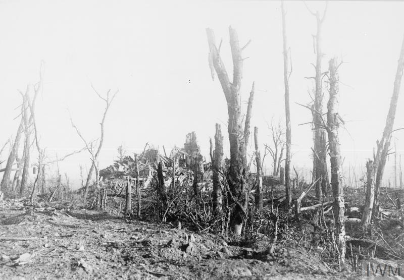 Ruins of Polderhoek Chateau 1917 - C. IWM (Q 42251)